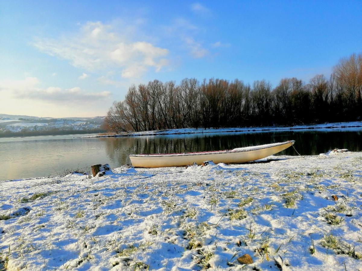 Danube Fairy Villa Futog Eksteriør billede