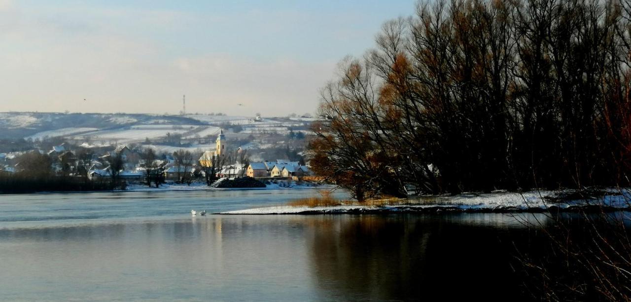 Danube Fairy Villa Futog Eksteriør billede