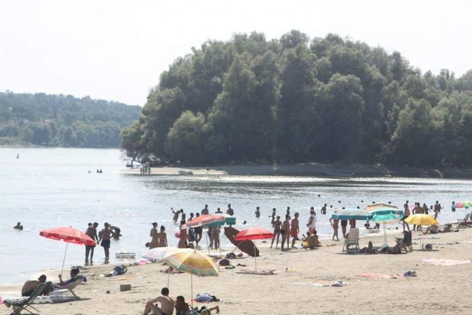 Danube Fairy Villa Futog Eksteriør billede