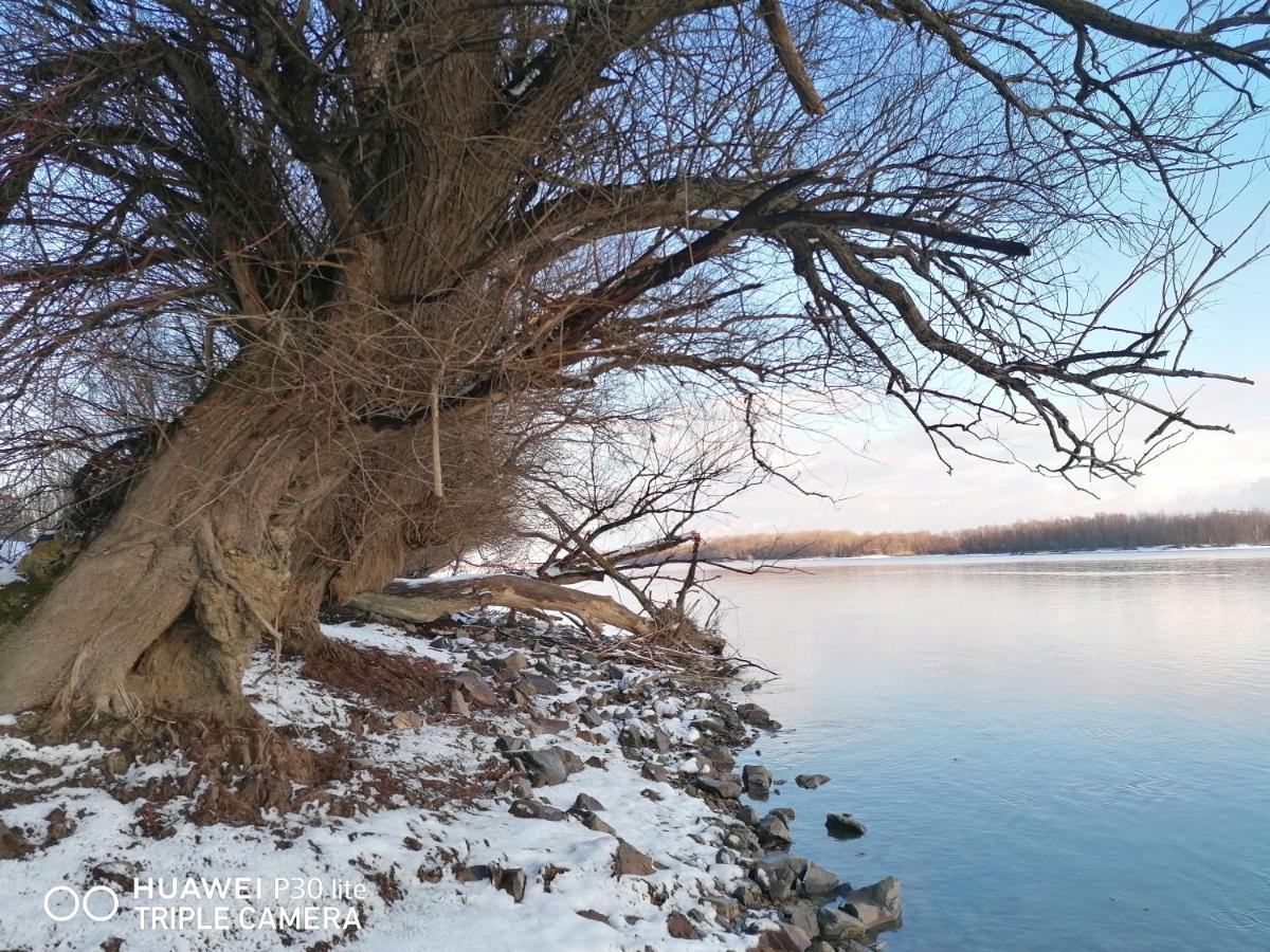 Danube Fairy Villa Futog Eksteriør billede