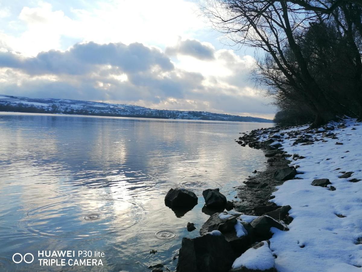 Danube Fairy Villa Futog Eksteriør billede