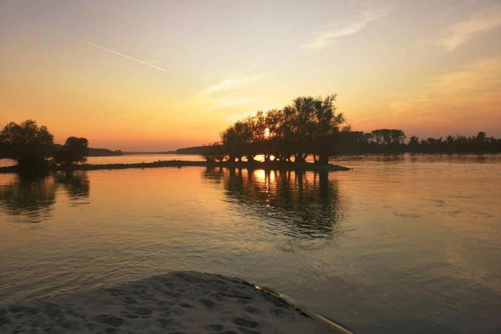Danube Fairy Villa Futog Eksteriør billede