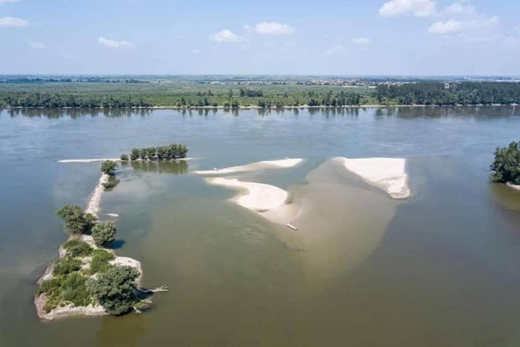 Danube Fairy Villa Futog Eksteriør billede