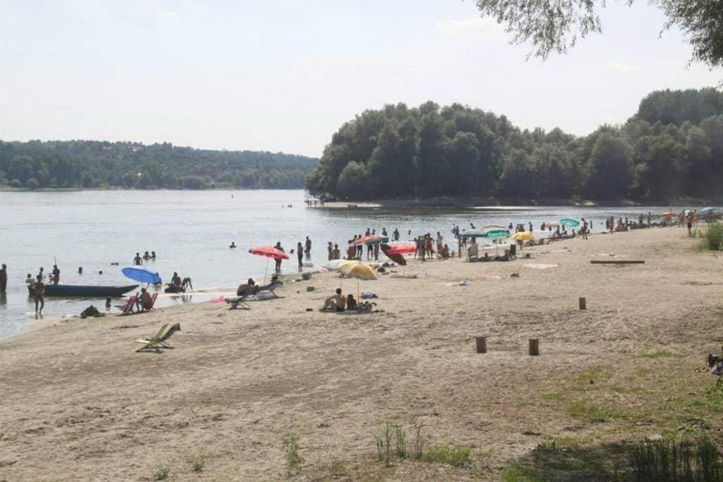 Danube Fairy Villa Futog Eksteriør billede